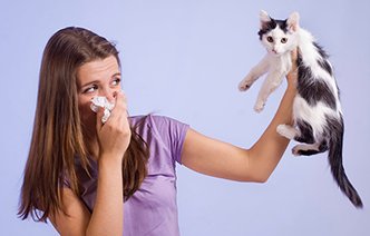 Антигистаминный препарат «Фенкарол»: как сказать «стоп» симптомам аллергии на домашних животных