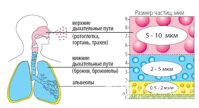 Небулайзер применяется при лечении не только пневмонии, но и других заболеваний дыхательных путей