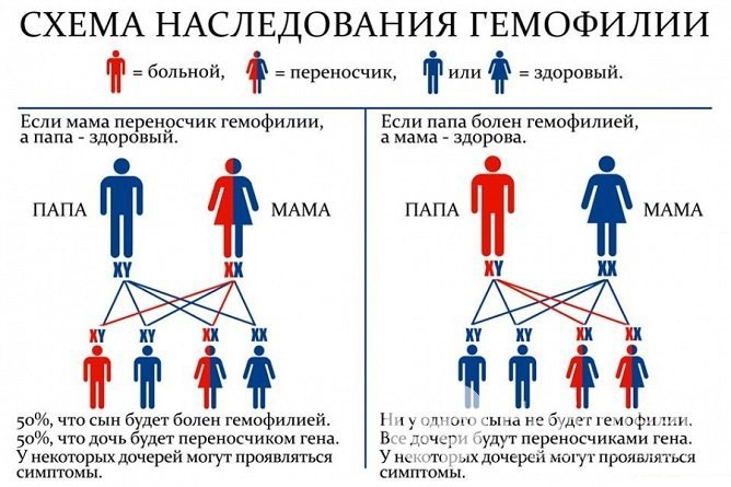 Гемофилия является наследственным заболеванием